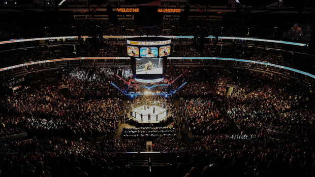 Banner image for: UFC
